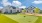 Putting Green